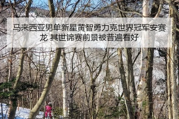 ma-lai-xi-ya-nan-dan-xin-xing-huang-zhi-yong-li-ke-shi-jie-guan-jun-an-sai-long-qi-shi-jin-sai-qian-jing-bei-pu-bian-2-999.jpg